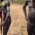 Mursi Tribe Naked Is Ethiopia