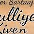 Bhulliye Kiven Lyrics Satinder Sartaaj Shayar Movie Song Latest Punjabi Song 2023