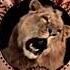 Metro Goldwyn Mayer 1993