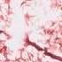 Emotions Meme Background Free To Use