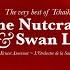 The Nutcracker Act II Divertissement B Coffee Arabian Dance