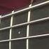 Bouncy Funk Rock Bass Grooves