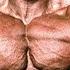 Jay Cutler The RISE