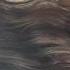 Perfect Hair Subliminal Audio