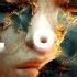 Melodic Techno Progressive House Mix 2025 Z A Y R A Morphine Podcast 55