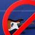 Willie Peyote Grazie Ma No Grazie BASS BACKING TRACK