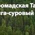 ГРОМАДСКАЯ ТАЙГА ТАЙГА СУРОВЫЙ КРАЙ