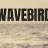Nick Eyra Wavebird Official Music Video Copyright Free