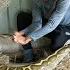 Brave Female Hunter Uses Bare Hands To Catch Giant Python How Smart Dog Was Afraid Of Anaconda