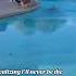 Core Memory Right Here Relatable Fail Funny Foryou Tiktok Pool Summer Emergency
