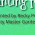 Bulb Planting For Spring