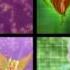 Winx Club Enchantix Song 10 Hours
