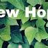 Somebody That You Loved By Bruno Martini The New Hope Club Lyrics