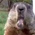 Burping Chunk The Chunks Greatest Moments 9 Shorts