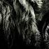 The Lion Still Roars