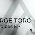 George Toro Miss You All The Same Voices EP Official Audio Release