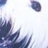 Moloko Sing It Back Boris Musical Mix Fruit Hanging Ripe Re Edit