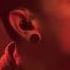LINKIN PARK IN THE END Legendado Tradução LIVE SHOW Full HD Album Hybrid Theory