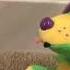 Dame Tu Cosita FNAF Version