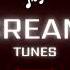 Tim Dian DIANIDI Million Nights