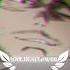 Aizawaaa Mha Myheroacademia Aizawashouta Aizawa Edit Shorts Anime