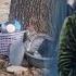 Esmat Khanum And Saadat S Trip To The Mountain To Bring Supplies And Say Goodbye To The Neighbor