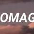 Homage Mild High Club Slowed Lyrics