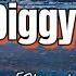 Bom Diggy Diggy Slowed Reverb