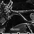 Dogs Unleashed Tokio Hotel Speed Up