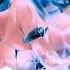NIGHTCORE This Is My DJ Original Fisa Extended Mix Italo Dance