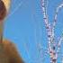 Ice Age A Mammoth Christmas Trailer