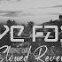 Live Fast Slowed Reverb PUBGM Alan Walker ASAP Rocky