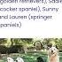 The Animals Of The Heathen Have A Greater Inheritance In This World
