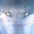 Adrian Von Ziegler Wolf Blood Extended