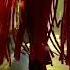 Joher