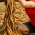 Harvesting Komodo Eel Go To Market Sell Rescued Python Anaconda From Fish Trap Garden Life