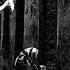 Sheer Mag Worth The Tears 2016