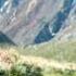 What Happens To Your Body During An Ultramarathon