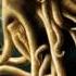 Davy Jones Nightcore