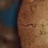 Song Collecting Cookies Mic The Microphone And The Living Tombstone
