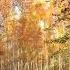 MGD Autumn Mix From Progressive House To Melodic Techno Two Are Ben C Kalsx Clawz SG Mashk Etc