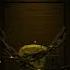The Rooms Entrance Doors Ambience