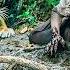 Orphan Girl Cast Into Forest By Stepmom Who Stole Her Wealth Returns As Billionaire CEO For Revenge