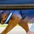 How To Escape A Police Sniffing Dog