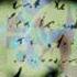 Marillion Beautiful 1995