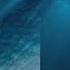 Saltwater Nora En Pure Studio Rework 2022