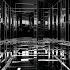 Disorientation