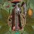 Afro Tribal Jungle Mix 2023