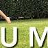 Numb Dotan Sam De Boeck Choreography EVOLVE