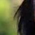 Dalida Nu Mai Stiu Nimic De Tine Manele Noi 2014 VIDEOCLIP HD SUPER HIT 2014